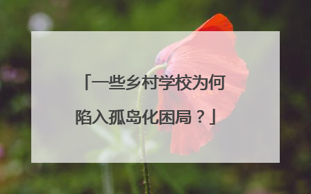 一些乡村学校为何陷入孤岛化困局？